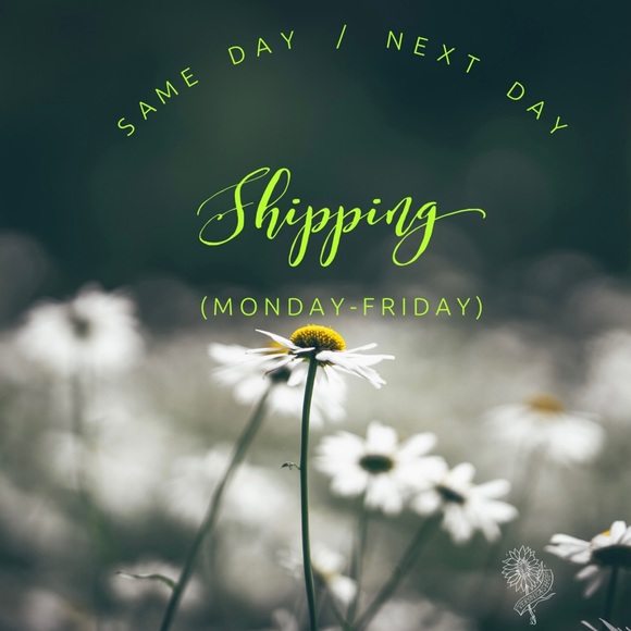 Welcome - Picture 3 of 5